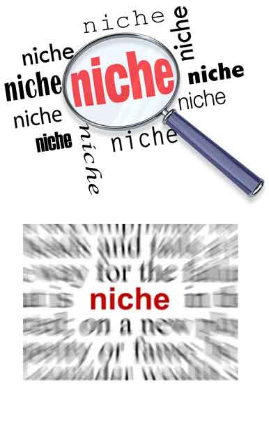 niche-marketing-SEO-Way